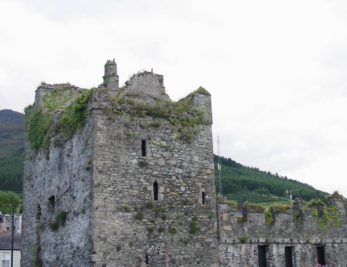 Taaffes Castle, Ireland